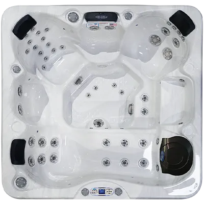 Avalon EC-849L hot tubs for sale in Manhattan