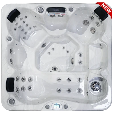 Avalon-X EC-849LX hot tubs for sale in Manhattan