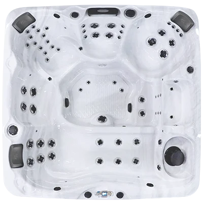 Avalon EC-867L hot tubs for sale in Manhattan